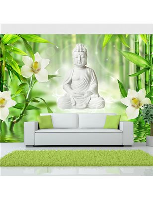 Fotomurale  Buddha e natura